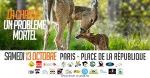 rassemblement chasse one voice