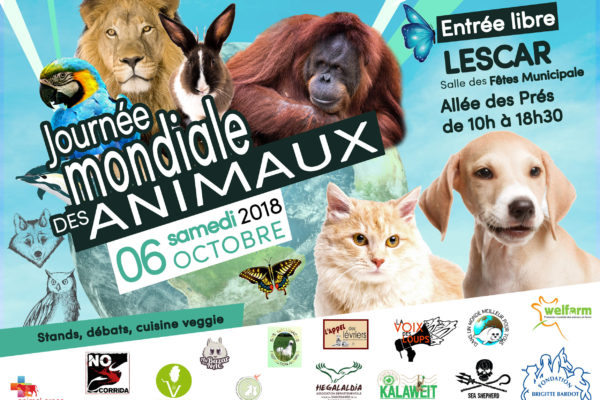LINC n°20 Lettre d’information, No Corrida 1er